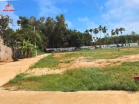 Cần ra đi lô đất gần chợ bò, tịnh phong, sơn tịnh Cần ra đi lô đất gần chợ bò, tịnh phong, sơn tịnh