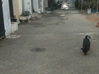 Cho thuê nhà 2 phòng ngủ hẻm sạch Trần Văn Mười Cho thuê nhà 2 phòng ngủ hẻm sạch Trần Văn Mười