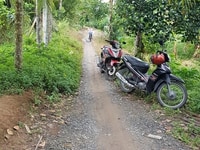 MỘT CĂN NHÀ XINH BÊN LŨY TRE LÀNG. Ấp Phú Lợi xã Phú Hữu, Châu Thành MỘT CĂN NHÀ XINH BÊN LŨY TRE LÀNG. Ấp Phú Lợi xã Phú Hữu, Châu Thành