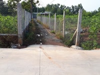 Bán 1000m2 đường bê tông 6m, Châu Pha, tx.Phú mỹ Bán 1000m2 đường bê tông 6m, Châu Pha, tx.Phú mỹ