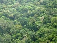 Bán đất Phú Thạnh, Nhơn Trạch, Đồng Nai gần đường Hùng Vương: Bán đất Phú Thạnh, Nhơn Trạch, Đồng Nai gần đường Hùng Vương: