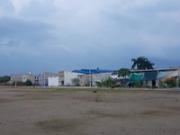Bán Đất Dự Án Đã Có Sổ Từng Nền Đức Hòa Đức Huệ Long An. Bán Đất Dự Án Đã Có Sổ Từng Nền Đức Hòa Đức Huệ Long An.
