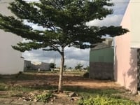 Bán đất khu dân cư Lê Minh Xuân, 985 triệu/nền, shr, gần BV Chợ Rẫy 2 Bán đất khu dân cư Lê Minh Xuân, 985 triệu/nền, shr, gần BV Chợ Rẫy 2