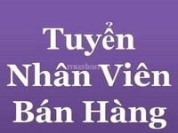 Tết đến nên cần gấp 03 nam nữ phụ bán hàng Tết đến nên cần gấp 03 nam nữ phụ bán hàng