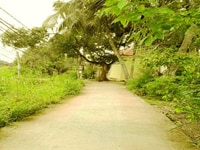 Đất Tân Trụ,868 m2 full thổ đường bê tông 833 giá 1.1 tỷ Đất Tân Trụ,868 m2 full thổ đường bê tông 833 giá 1.1 tỷ