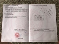 Xây dựng tự do, thổ cư 100%, SHR, 1 sẹc tỉnh lộ 15 ,tân thạnh đông Xây dựng tự do, thổ cư 100%, SHR, 1 sẹc tỉnh lộ 15 ,tân thạnh đông