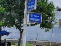 Cho thuê lô đất 2 mặt tiền Vương Thừa Vũ và phước trường 1 Cho thuê lô đất 2 mặt tiền Vương Thừa Vũ và phước trường 1