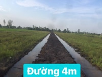 Bình Đức - Bến Lức - Long An 1000m2 (25x40m) đường 4m, 450tr Bình Đức - Bến Lức - Long An 1000m2 (25x40m) đường 4m, 450tr