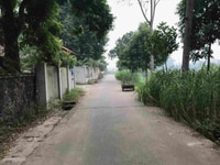 Bán đất thổ cư, sổ đỏ chính chủ, đã có tường bao quanh, view cánh đồng Bán đất thổ cư, sổ đỏ chính chủ, đã có tường bao quanh, view cánh đồng