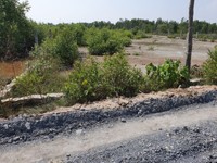Bán gấp lô đất đường Duyên Hải, X.Long Hòa, Cần Giờ Bán gấp lô đất đường Duyên Hải, X.Long Hòa, Cần Giờ