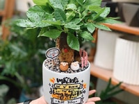 Đang cần tuyển 02 nhân viên phụ bán hàng và sắp xếp hàng lên kệ Đang cần tuyển 02 nhân viên phụ bán hàng và sắp xếp hàng lên kệ