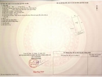 Đât Gần Chợ Mỹ Hạnh Nam Đức Hòa Long An Đât Gần Chợ Mỹ Hạnh Nam Đức Hòa Long An