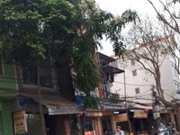 (Hàng hiếm) cần tiền bán nhà mặt phố phù hợp kinh doanh hoặc đầu tư (Hàng hiếm) cần tiền bán nhà mặt phố phù hợp kinh doanh hoặc đầu tư