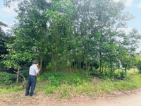 Chính chủ bán lô 1968 m2, cách mt Long Phước Bàu Cạn chỉ 200m Chính chủ bán lô 1968 m2, cách mt Long Phước Bàu Cạn chỉ 200m