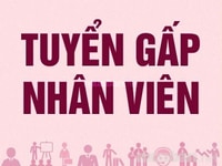 Tuyển nhân viên nam nữ Kế Toán 19-40 tuổi Tuyển nhân viên nam nữ Kế Toán 19-40 tuổi