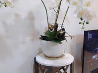 Bán gấp nhà Nguyễn văn đậu, p11, Bình thạnh gía 4.9 tỷ Bán gấp nhà Nguyễn văn đậu, p11, Bình thạnh gía 4.9 tỷ