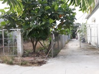 Bán đất KP.8-Phường 5.Phía sau Trường Khuyết Tật Bán đất KP.8-Phường 5.Phía sau Trường Khuyết Tật