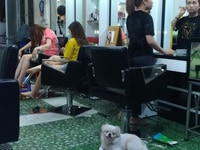 Cần Sang Lại Salon Tóc Nam & Nữ Đang Kinh KD Tại Quận Tân Phú Cần Sang Lại Salon Tóc Nam & Nữ Đang Kinh KD Tại Quận Tân Phú