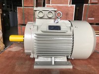 Motor 3pha /1 pha chất lượng như ý, giá cả hợp lí Motor 3pha /1 pha chất lượng như ý, giá cả hợp lí
