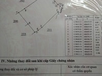 Đất nông nghiệp đang canh tác lúa 3 vụ Đất nông nghiệp đang canh tác lúa 3 vụ