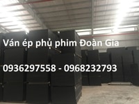Ván ép phủ phim, cốp pha phủ phim KT1220*2440 Ván ép phủ phim, cốp pha phủ phim KT1220*2440