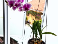 CHDV sạch sẽ,thoáng mát,bếp từ,nhà xe rộng, bảo vệ đêm, Nguyễn Văn Đậu CHDV sạch sẽ,thoáng mát,bếp từ,nhà xe rộng, bảo vệ đêm, Nguyễn Văn Đậu