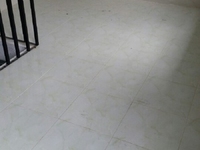 Cho thuê nhà nguyên căn ở Bến Bình Đông, Q8 Cho thuê nhà nguyên căn ở Bến Bình Đông, Q8