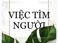 Tìm kiếm cộng sự cùng bán matcha hộp | Tân Phú Tìm kiếm cộng sự cùng bán matcha hộp | Tân Phú