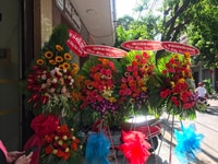 Cần tuyển lao động phổ thông Cần tuyển lao động phổ thông