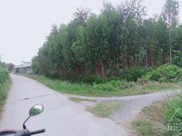 Đất có sổ Tiền Giang vị trí đẹp - giá rẻ Đất có sổ Tiền Giang vị trí đẹp - giá rẻ