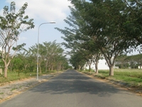 Bán đất nền dự án KDC Phú Xuân Vạn Phát Hưng Huyện Nhà Bè Bán đất nền dự án KDC Phú Xuân Vạn Phát Hưng Huyện Nhà Bè