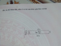 Chính chủ bán 4 lô đất tại Mai Trung, xã Tân Trường, Hải Dương Chính chủ bán 4 lô đất tại Mai Trung, xã Tân Trường, Hải Dương