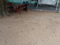 Bán đất vườn xoài cam đức hàng năm thu 100tr Bán đất vườn xoài cam đức hàng năm thu 100tr