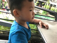 Thuê 1 cô trông trẻ và 1 cô làm việc nhà, nấu cơm. Thuê 1 cô trông trẻ và 1 cô làm việc nhà, nấu cơm.
