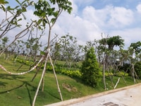 Đầu tư đất nền giáp ranh Nhà Bè 750tr SHR Đầu tư đất nền giáp ranh Nhà Bè 750tr SHR
