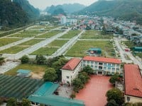 Bán đất nền Cẩm Phả, Giá ngoại giao chỉ từ 8 triệu/m2 Bán đất nền Cẩm Phả, Giá ngoại giao chỉ từ 8 triệu/m2