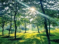 Biệt thự đảo Ecopark Grand - The Island Biệt thự đảo Ecopark Grand - The Island
