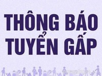 Cần tuyển thêm nhân viên hỗ trợ bên nhân sự Cần tuyển thêm nhân viên hỗ trợ bên nhân sự