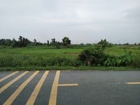 Bán đất trồng cây lâu năm, xã thới tam thôn, hóc môn, hcm Bán đất trồng cây lâu năm, xã thới tam thôn, hóc môn, hcm