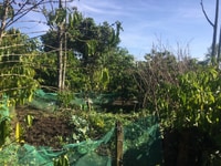 Cần bán 2500m2 có nhà cấp 4,view suối lớn Cần bán 2500m2 có nhà cấp 4,view suối lớn