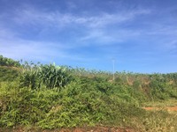 Khu nghỉ dưỡng view mặt hồ 500 đến 2000m2 gần khu dân cư. Khu nghỉ dưỡng view mặt hồ 500 đến 2000m2 gần khu dân cư.