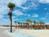 Sở hữu ngay đất nền ven biển vị trí Vàng độc tôn , Nhơn Hội New City. Sở hữu ngay đất nền ven biển vị trí Vàng độc tôn , Nhơn Hội New City.