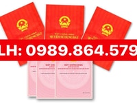 BÁN NHÀ PHỐ TÔN THẤT THUYẾT GẦN PHỐ DỊCH VỌNG HẬU VÀ DUY TÂN BÁN NHÀ PHỐ TÔN THẤT THUYẾT GẦN PHỐ DỊCH VỌNG HẬU VÀ DUY TÂN