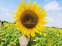 Ưu tiên cho các bạn sinh viên! !! mại dô... Ưu tiên cho các bạn sinh viên! !! mại dô...