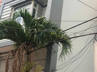 Bán nhà 5D Đường số 2 KDC Tên Lửa Bình Tân Bán nhà 5D Đường số 2 KDC Tên Lửa Bình Tân