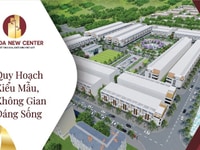 Cơn sốt đầu tư siêu lợi nhuận mang tên TamĐa Cơn sốt đầu tư siêu lợi nhuận mang tên TamĐa