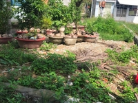 Đất Lư Cấm gần Con ông bầu nha trang chỉ 1tỷ Đất Lư Cấm gần Con ông bầu nha trang chỉ 1tỷ