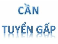 Cần tuyển gấp 03 nhân viên văn phòng Cần tuyển gấp 03 nhân viên văn phòng