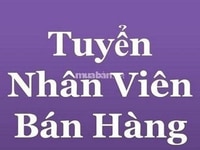Cần thêm 3 nhân viên bán hàng tết Cần thêm 3 nhân viên bán hàng tết