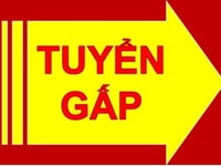 Cần 02 nhân viên trợ lý nhân sự nhân sự Cần 02 nhân viên trợ lý nhân sự nhân sự